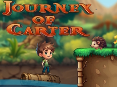 խաղ Journey Of Carter