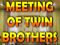 խաղ Wow Meeting of Twin Brothers