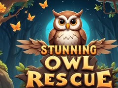 խաղ Stunning Owl Rescue