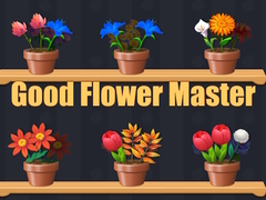 խաղ Good Flower Master
