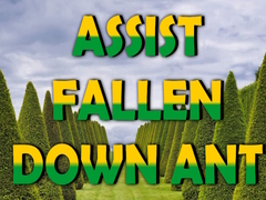 խաղ  Assist Fallen Down Ant