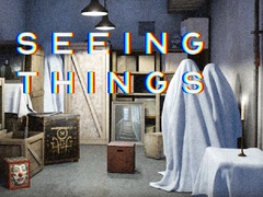 խաղ Seeing Things