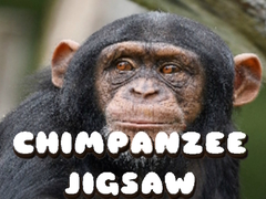 խաղ Chimpanzee Jigsaw