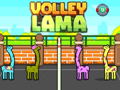 խաղ Volley Lama