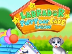 խաղ Labrador Puppy Daycare Salon