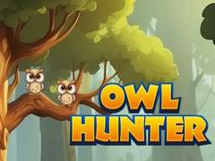 խաղ Owl Hunter