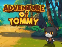 խաղ Advanture Of Tommy