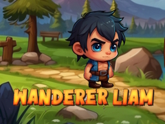 խաղ Wanderer Liam