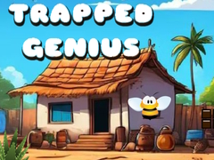խաղ Trapped Genius