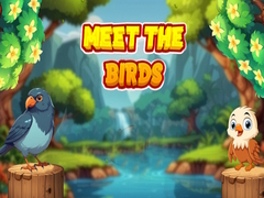 խաղ Meet The Birds 