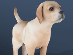 խաղ IDLE Pet