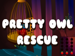 խաղ Pretty Owl Rescue