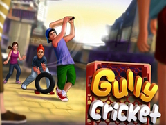 խաղ Gully Cricket