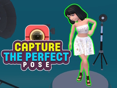 խաղ Capture the Perfect Pose 