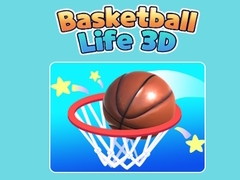 խաղ Basketball Life 3D