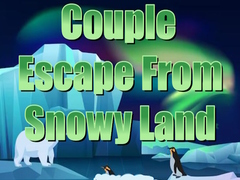 խաղ Couple Escape from Snowy Land