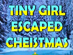 խաղ Tiny Girl Escaped Christmas Island