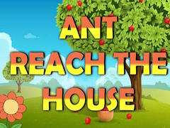 խաղ Ant Reach the House
