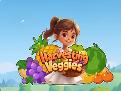 խաղ Harvesting Veggies