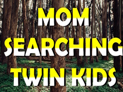 խաղ Mom Searching Twin Kids