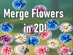 խաղ Merge Flowers in 2D!