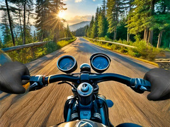 խաղ Motorcycle Racer: Road Mayhem
