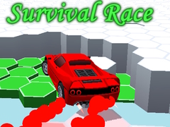 խաղ Survival Race