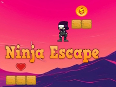 խաղ Ninja Escape 2D
