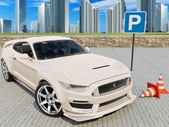 խաղ Car Simulator 3D