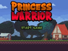 խաղ Princess Warrior