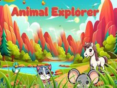 խաղ Animal Explorer 