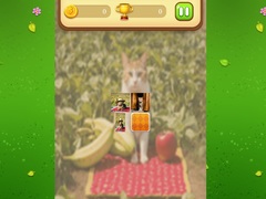 խաղ Farm Cat Memory Match