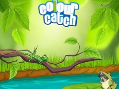 խաղ Colour Catch