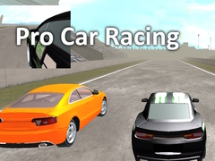 խաղ Pro Car Racing