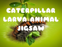 խաղ Caterpillar Larva Animal Jigsaw
