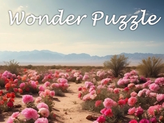 խաղ Wonder Puzzle