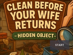 խաղ Clean Before Your Wife Returns Hidden Object