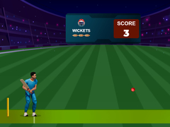 խաղ Cricket Night 2