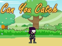 խաղ Can You Catch