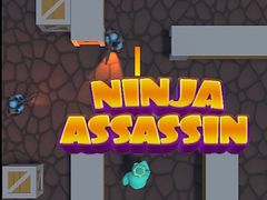 խաղ Ninja Assassin