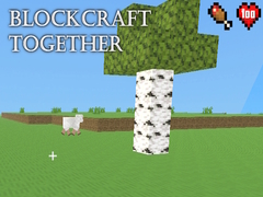 խաղ BlockCraft Together