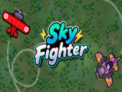 խաղ Sky Fighter