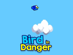 խաղ Bird in Danger