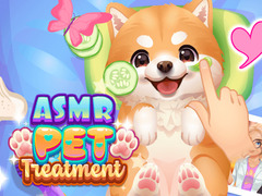 խաղ ASMR Pet Treatment