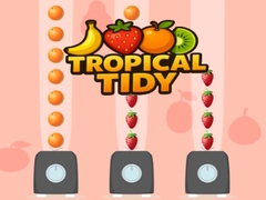 խաղ Tropical Tidy