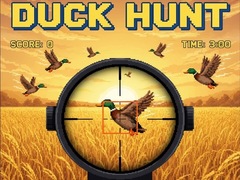 խաղ Duck Hunt