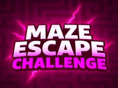 խաղ Maze Escape Challenge