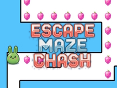 խաղ Escape Maze Chush