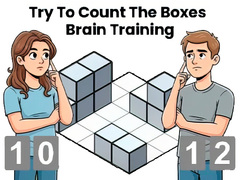 խաղ Try To Count The Boxes Brain Training