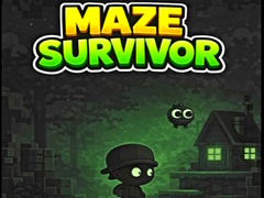 խաղ Maze Survivor 